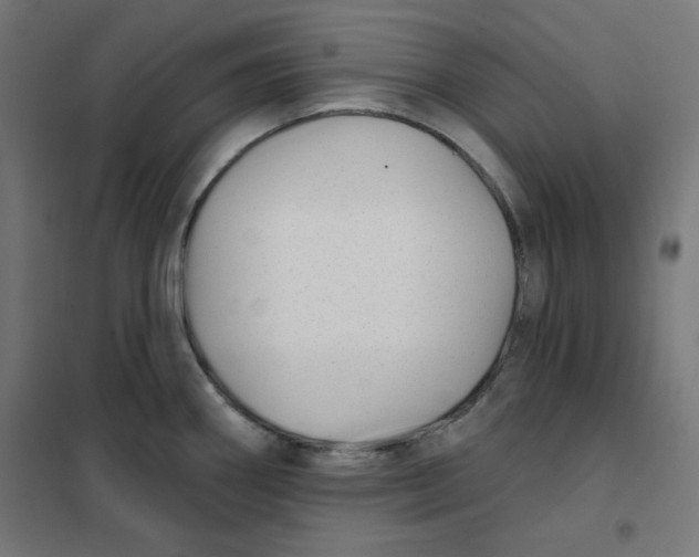 X0000101181290200807250931