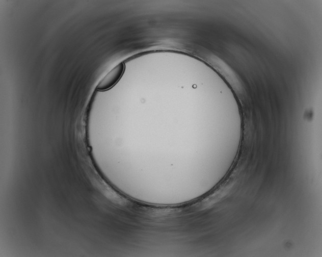 X0000101181292200807250931