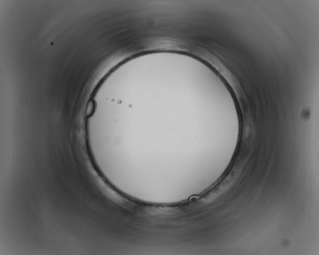 X0000101181293200807250931