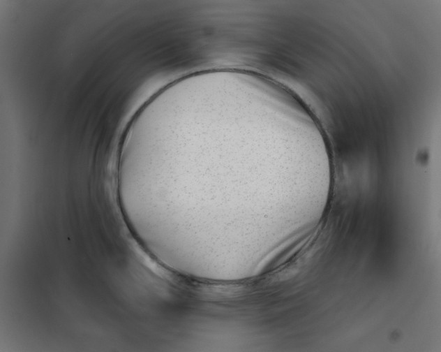 X0000101181294200807250931