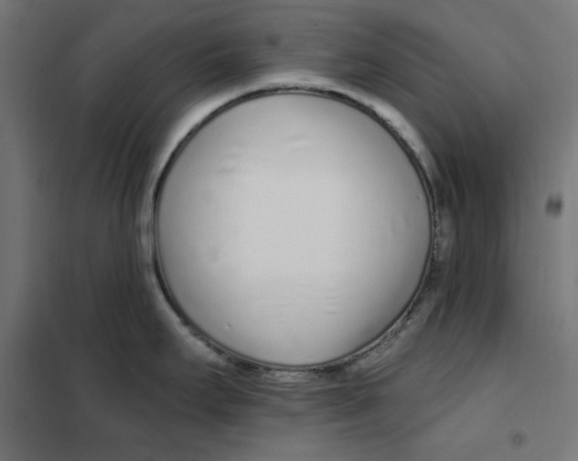 X0000101181295200807250931