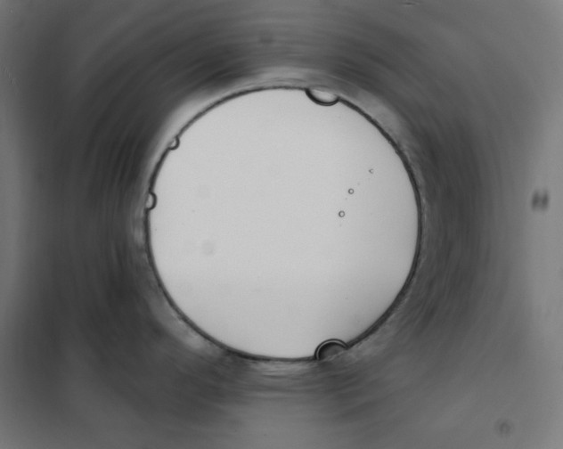 X0000101181296200807250931