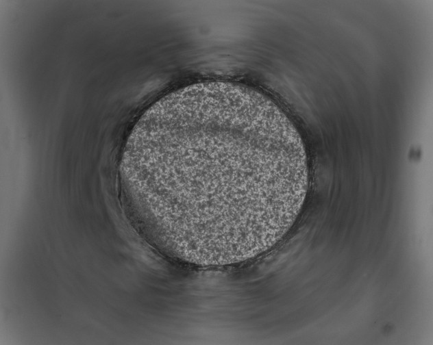 X0000101181297200807250930