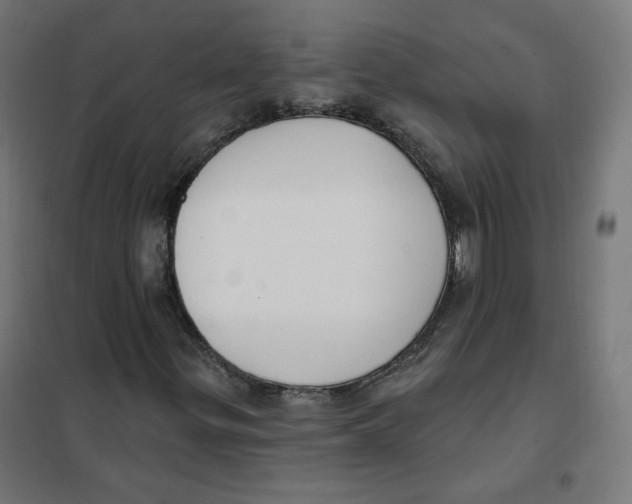 X0000101181299200807250930