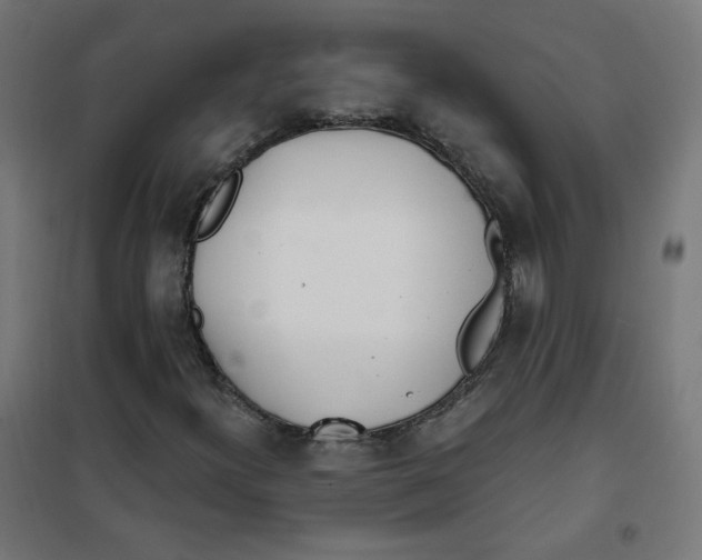 X0000101181300200807250930