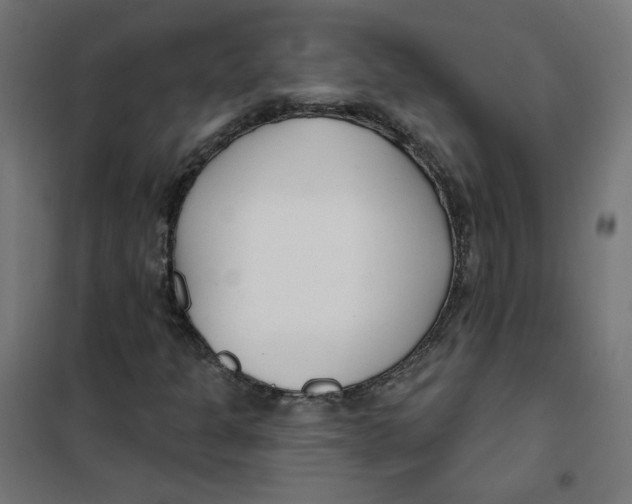 X0000101181301200807250930