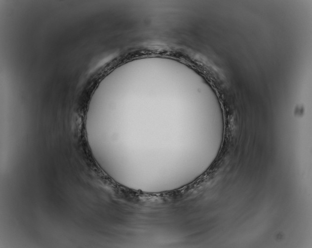 X0000101181302200807250930