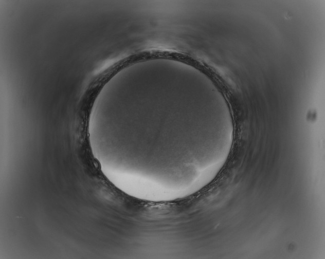 X0000101181303200807250930