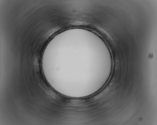 X0000101181305200807250930