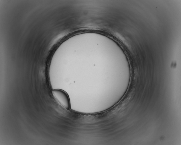 X0000101181307200807250930