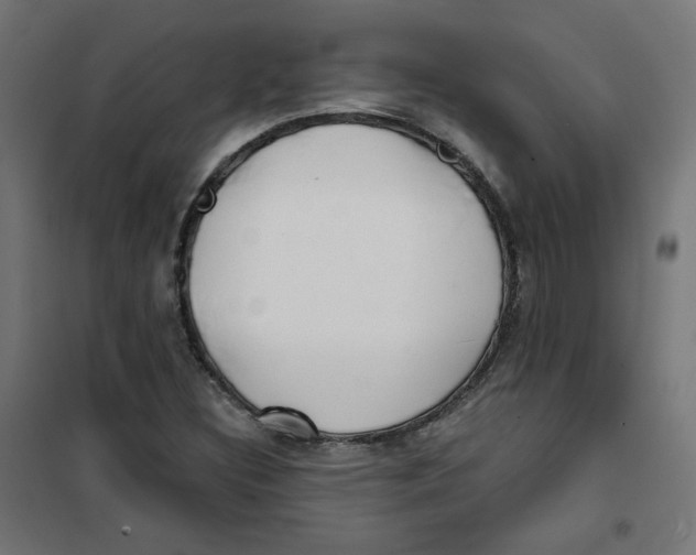 X0000101181308200807250930