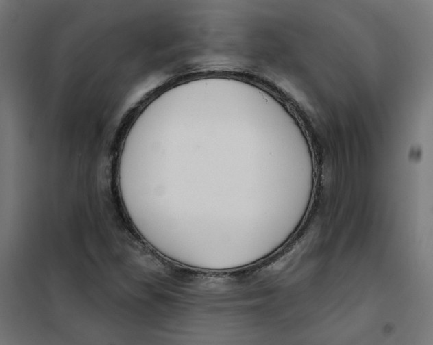 X0000101181309200807250930