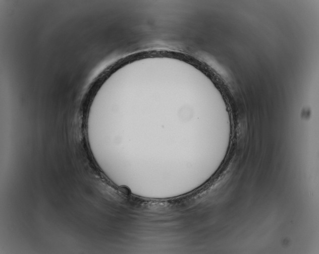 X0000101181310200807250930