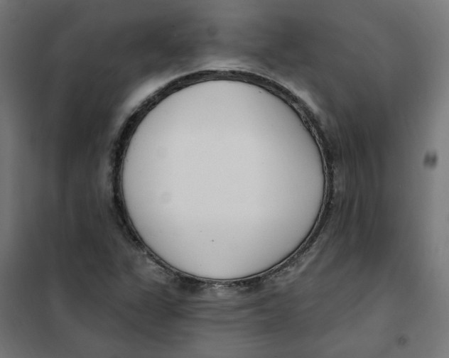 X0000101181311200807250930