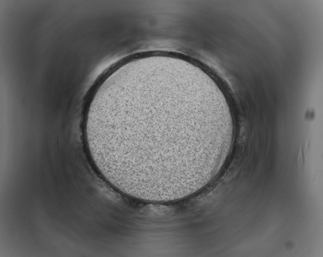 X0000101181312200807250930