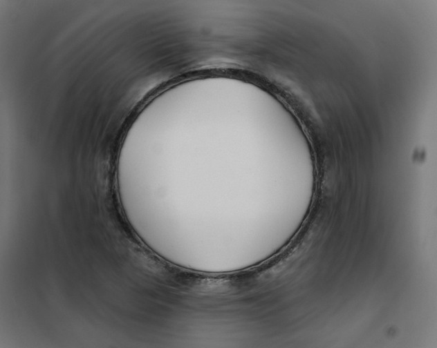 X0000101181313200807250930