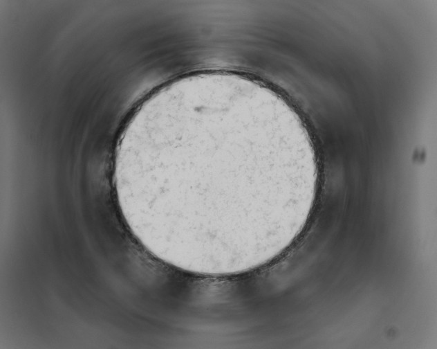 X0000101181314200807250930