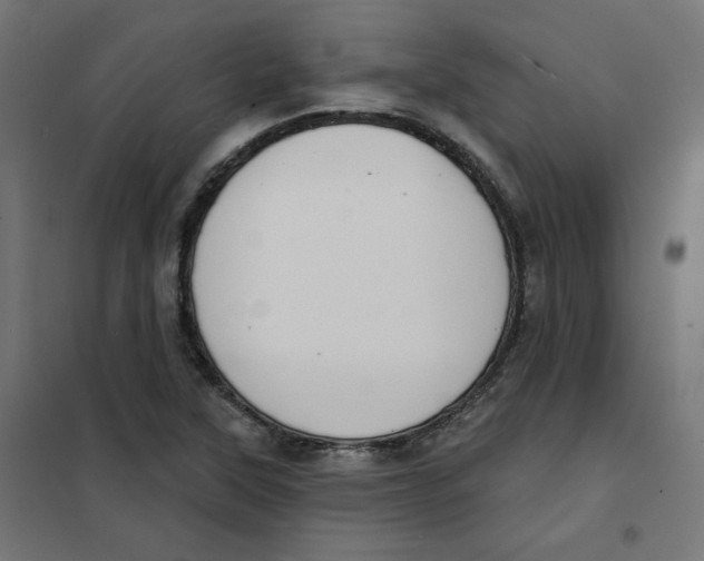 X0000101181315200807250931