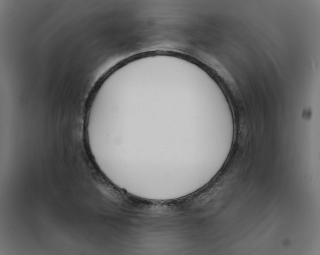 X0000101181316200807250931