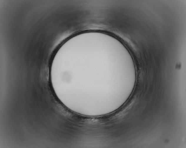 X0000101181317200807250931