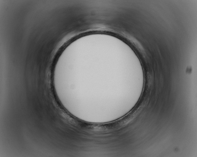 X0000101181318200807250931