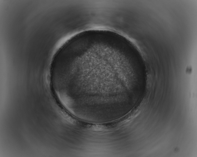 X0000101181319200807250931