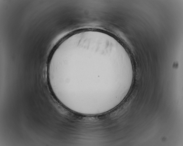 X0000101181320200807250931