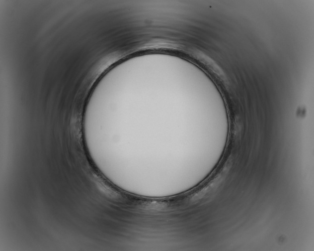 X0000101181321200807250931