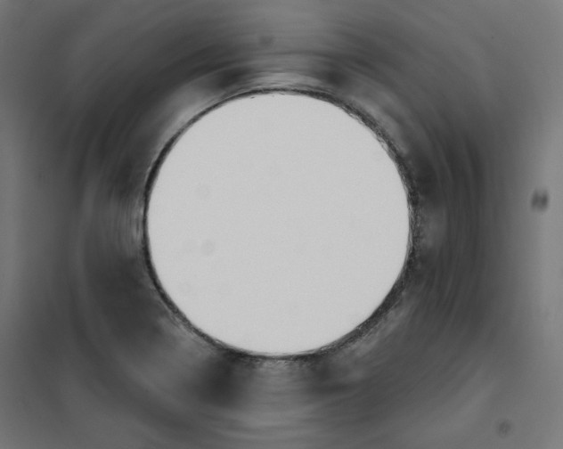 X0000101181322200807250931