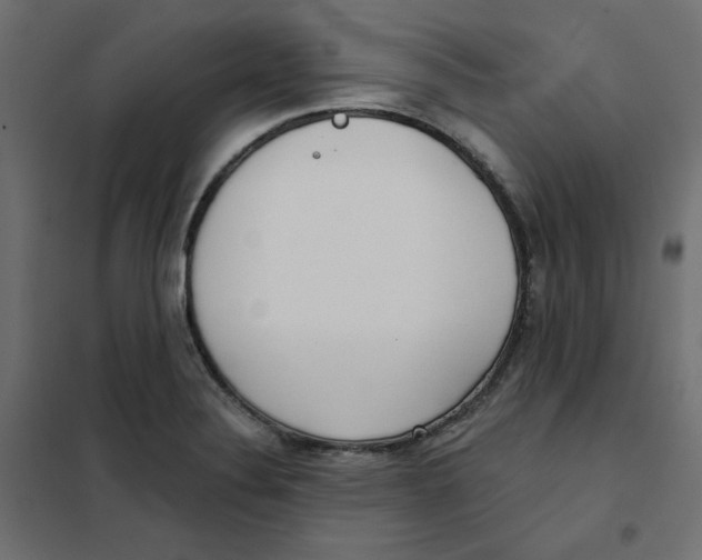 X0000101181324200807250931