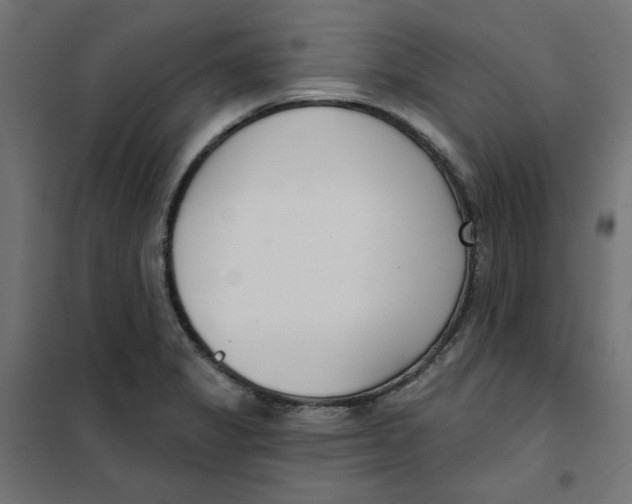 X0000101181325200807250931