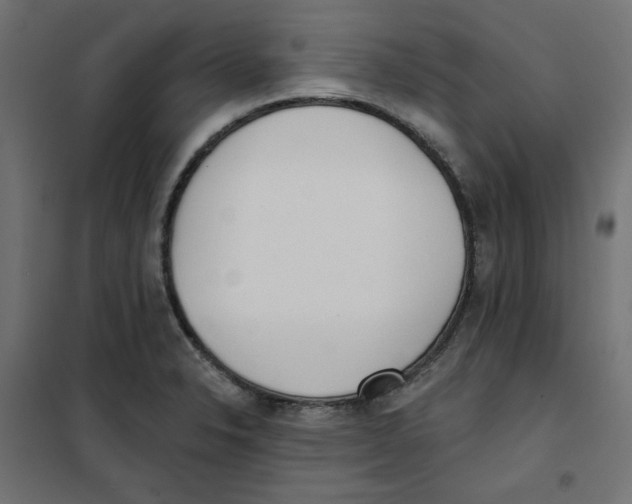 X0000101181326200807250931