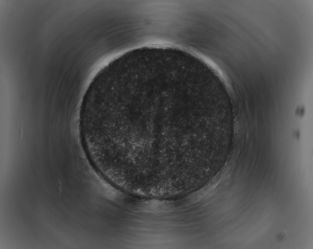 X0000101181327200807250931