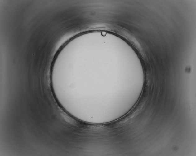 X0000101181328200807250931