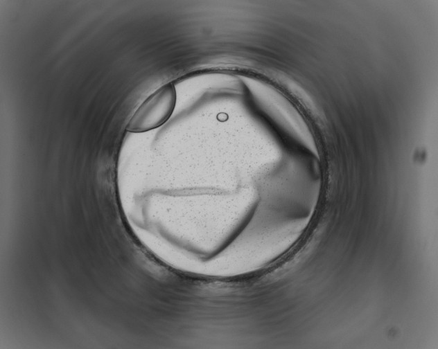 X0000101181329200807250931