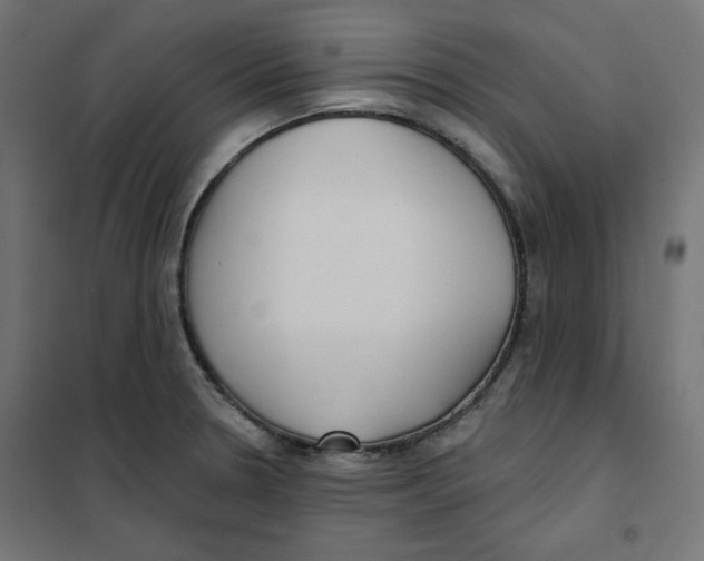 X0000101181330200807250931