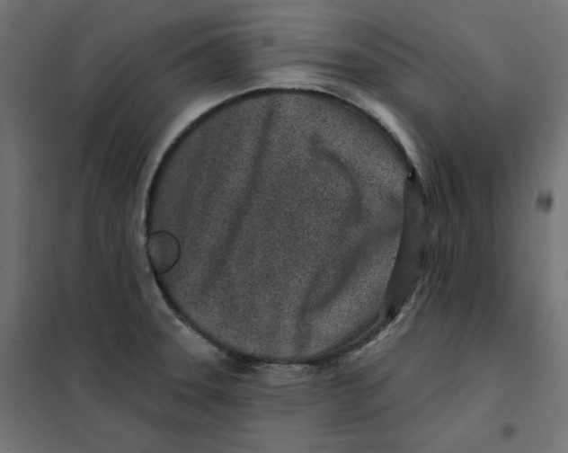 X0000101181331200807250931