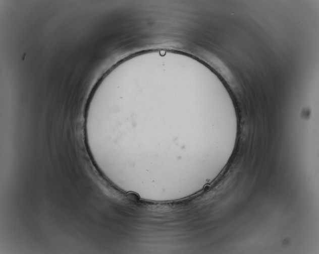 X0000101181332200807250931