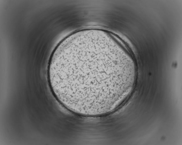 X0000101181333200807250931