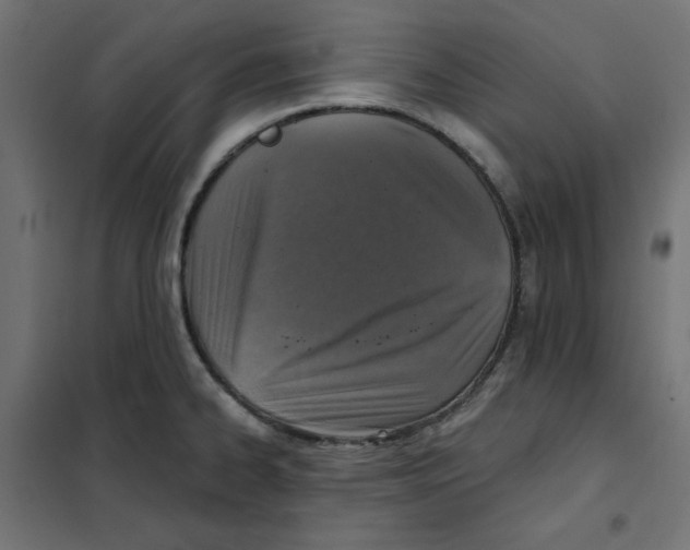 X0000101181334200807250931