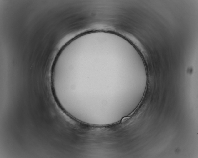 X0000101181335200807250931