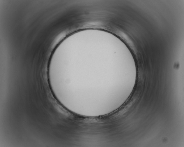 X0000101181336200807250931