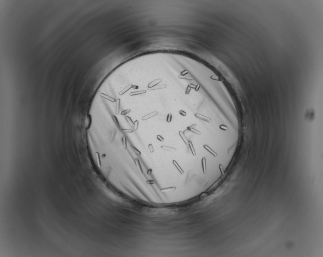 X0000101181337200807250931
