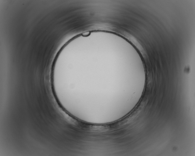 X0000101181339200807250931