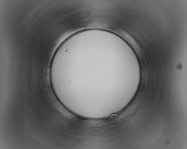 X0000101181340200807250931