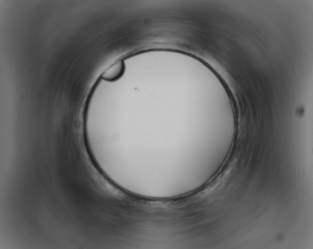 X0000101181341200807250931