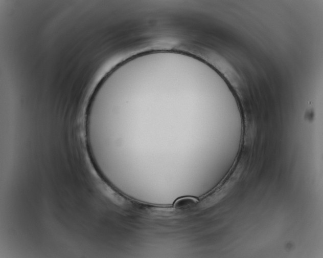 X0000101181342200807250931