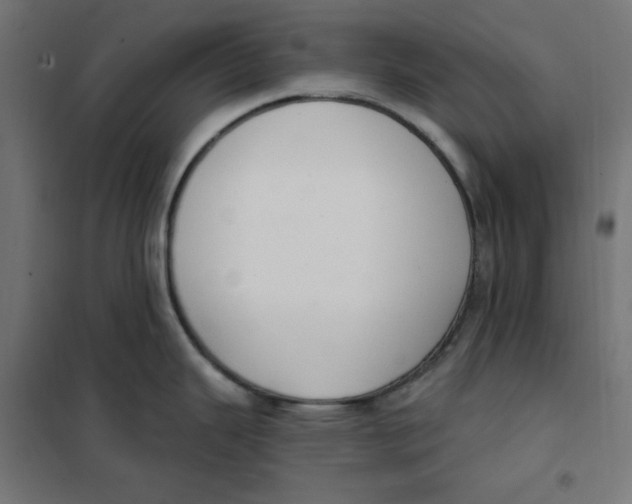 X0000101181343200807250931