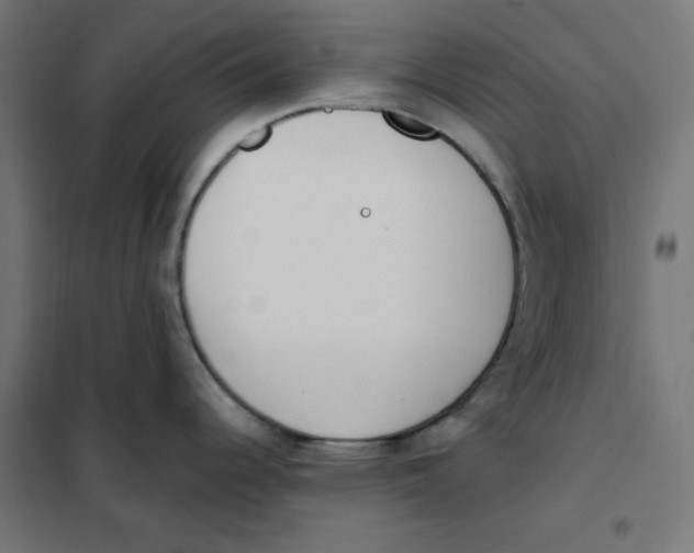 X0000101181344200807250931