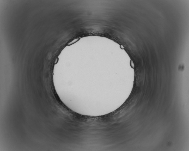 X0000101181345200807250930